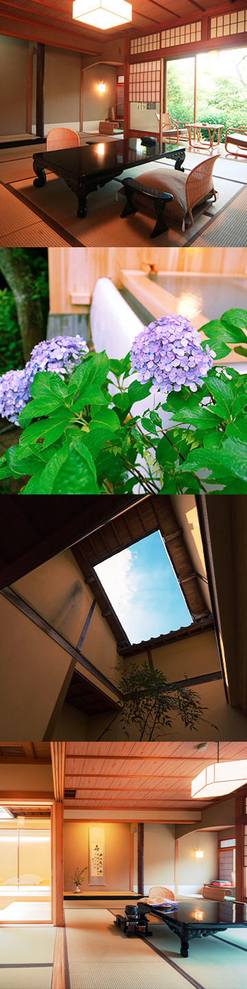 和洋室 紫陽花の写真2