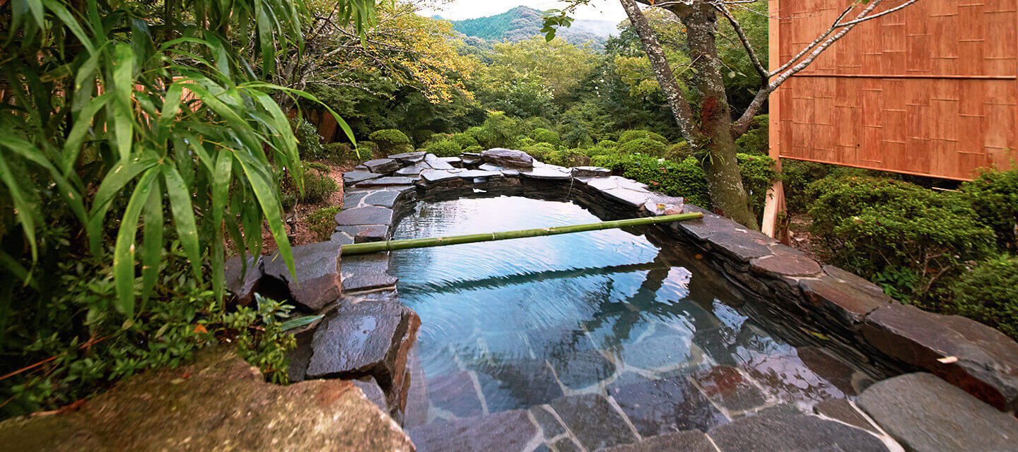 和洋室 山桜の写真